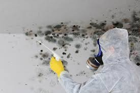 Forensic Mold Investigation in Trotwood, OH